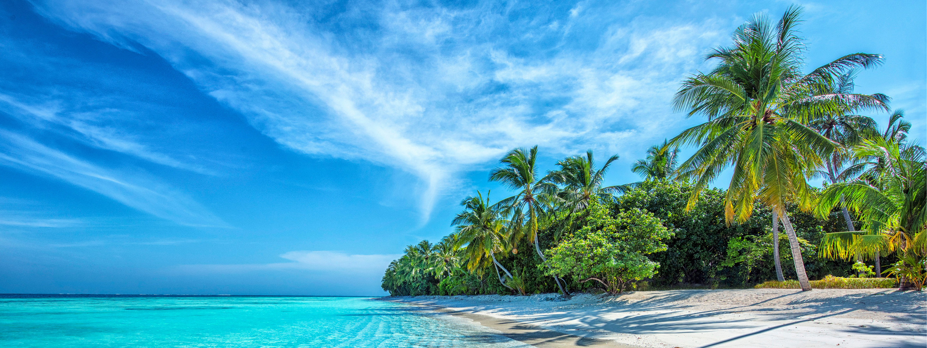 A tropical, sunny beach with palm trees in the Maldives 