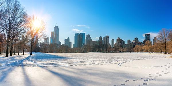 Image of Central Park in New York on a winter's day