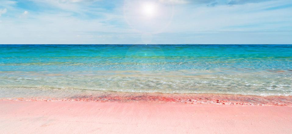 Pink Sand Beach In The Bahamas image