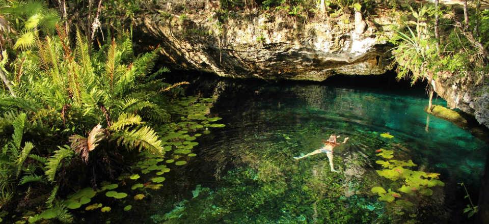 Cenotes In Mexico image