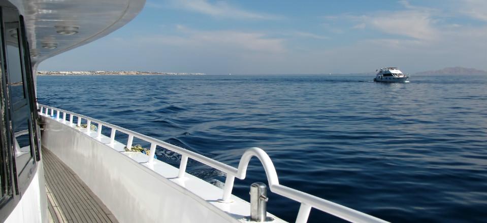 Boat tours and day trips from El Gouna image