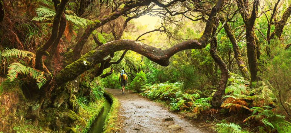 Visit the nature reserves in Madeira image