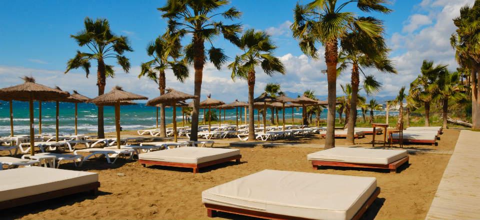 Spend a day on one of Marbella's 23 Beaches image