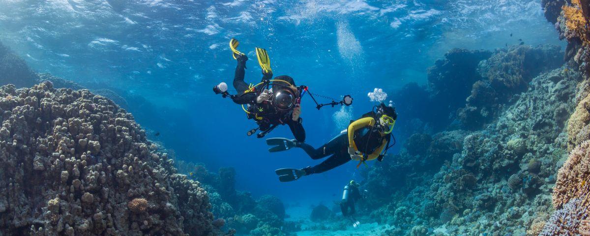 Deep sea diving in coral reefs of Mexico
