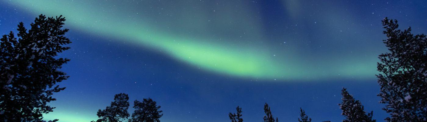 Northern lights appearing above forest