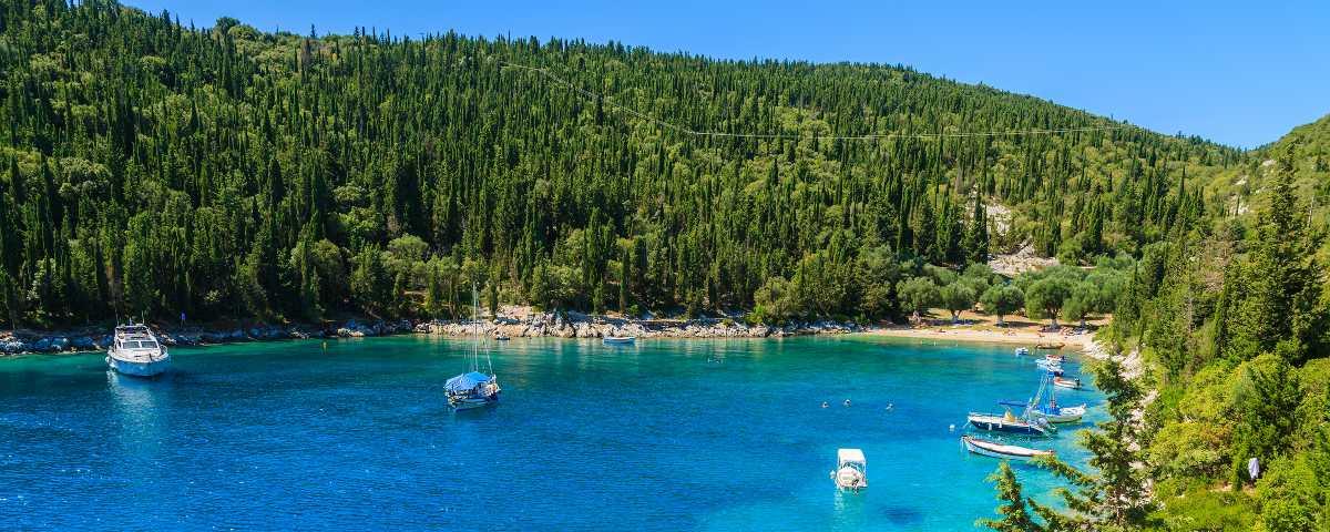 A pine-backed bay with a beach, boats and blue water, under a clear blue sky