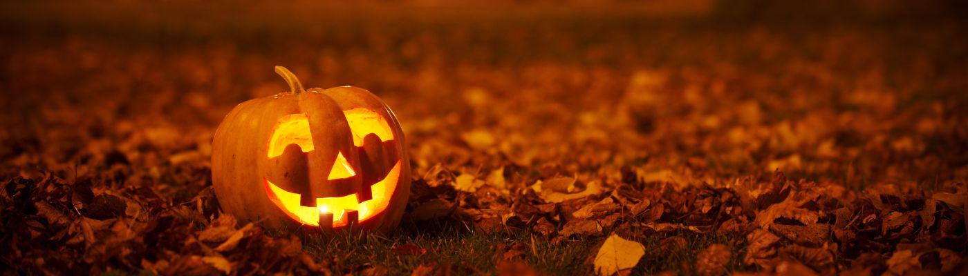 Pumpkin in halloween scene