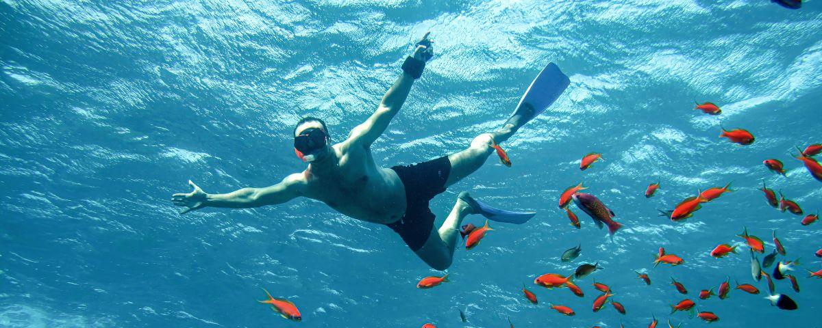 Man in swimming shorts, snorkel mask and flippers swimming with orange fish in blue water, seen from below, with the sunlight sparkling through the sea's surface