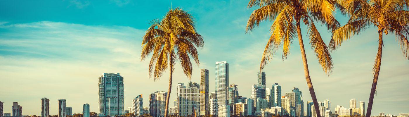 Skyline of Miami behind palm trees