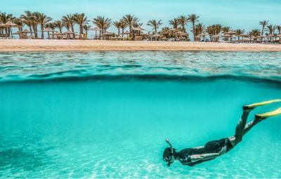 Red Sea diving, Sharm el-Sheikh, Egypt — clear waters with beach and palms, October holidays.