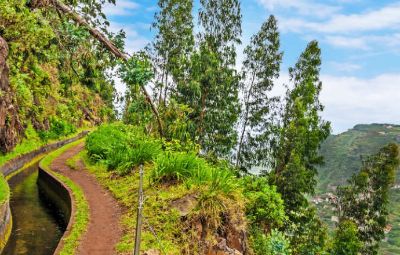 Hike up the Madeira mountains image