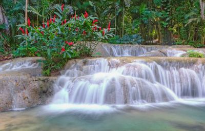 Mayfield Falls Jamaica image