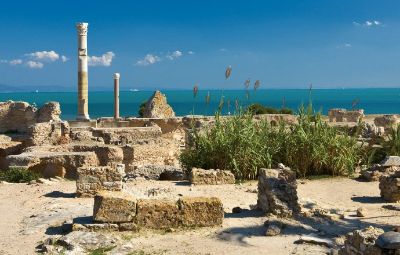 Carthage Ruins In Tunisia image