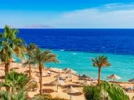 Sunny Egyptian beach in May with turquoise water and palm trees along the shore.