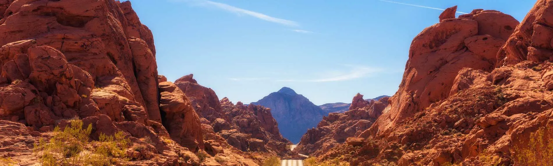 Nevada