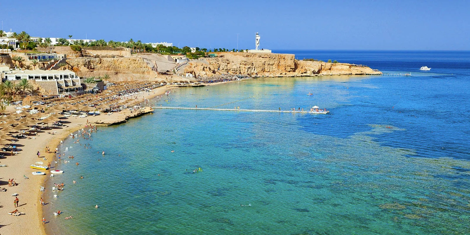 Sharks Bay