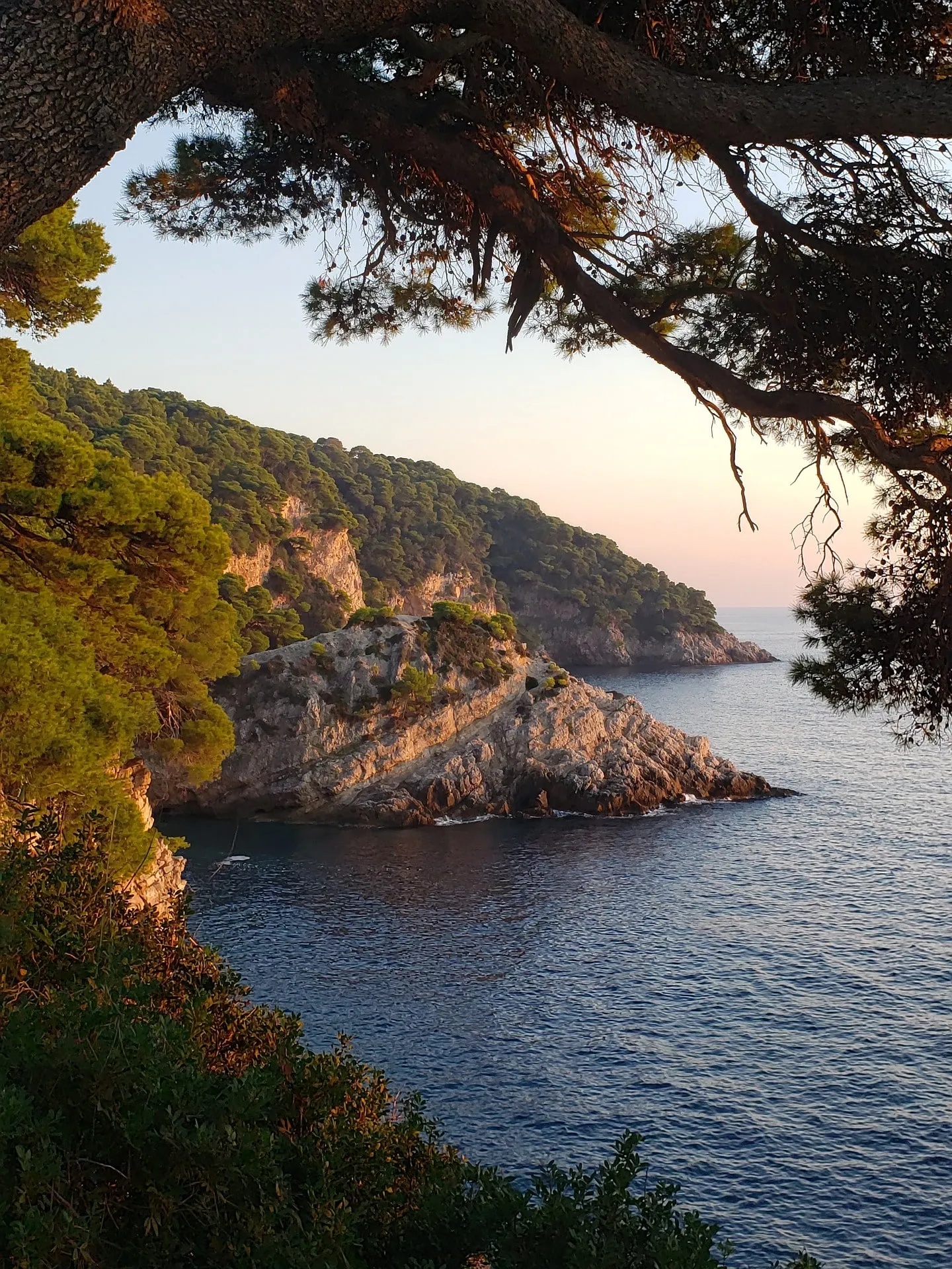 Dalmatian Coast