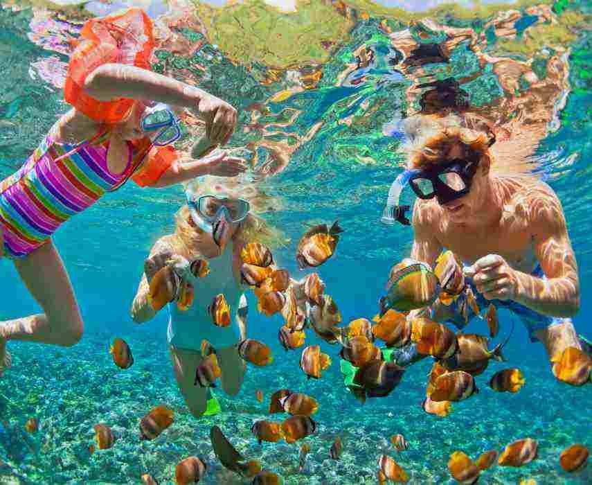School Summer Holidays