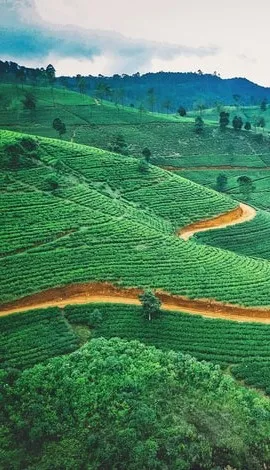 Sri Lanka