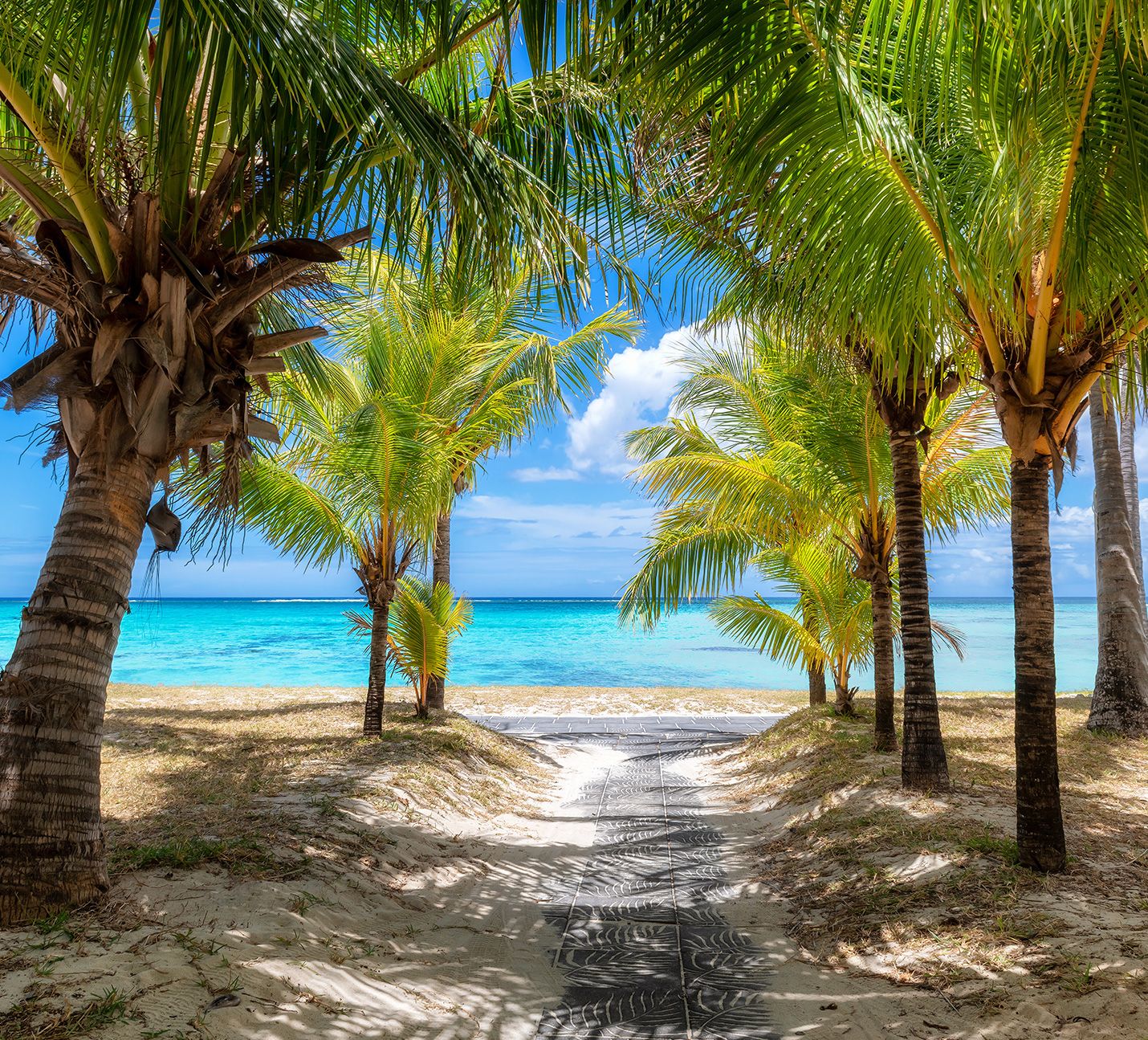 Faraway escapes image