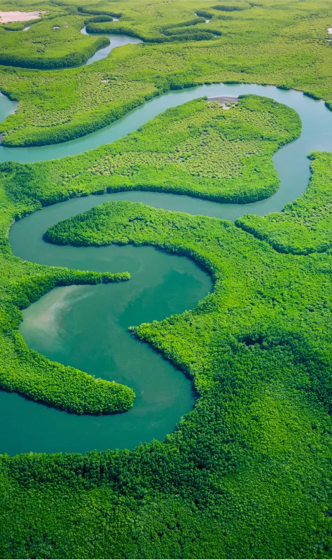 Gambia