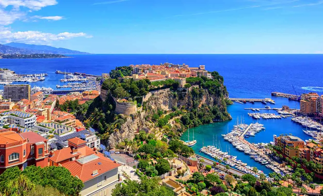 Monte Carlo