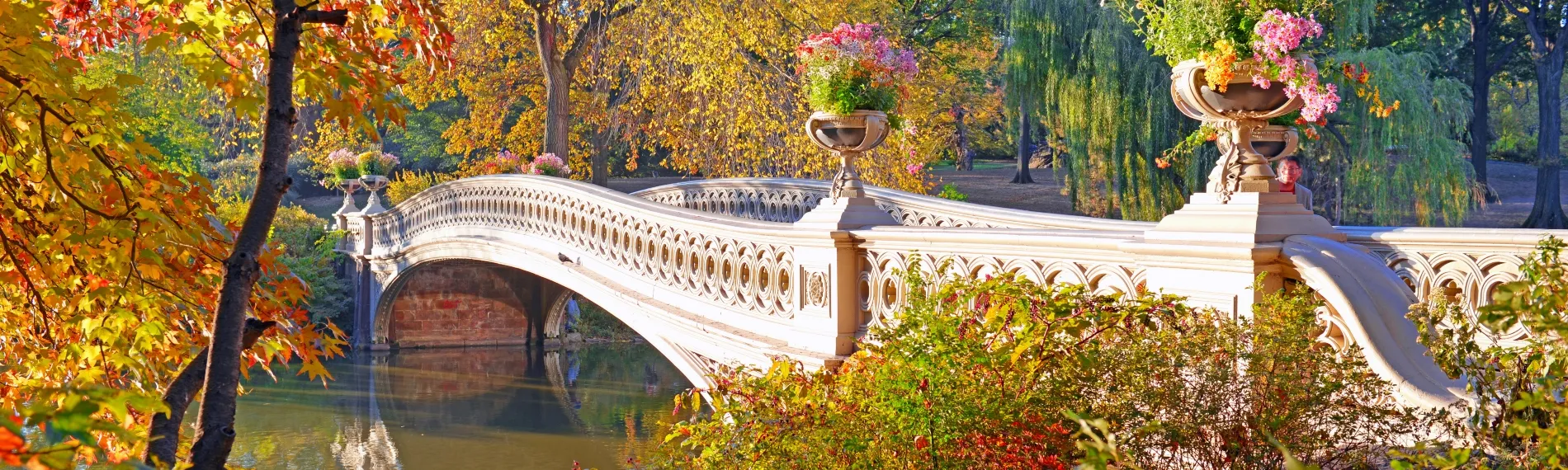 Visiting Central Park in New York