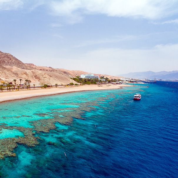 All Inclusive image