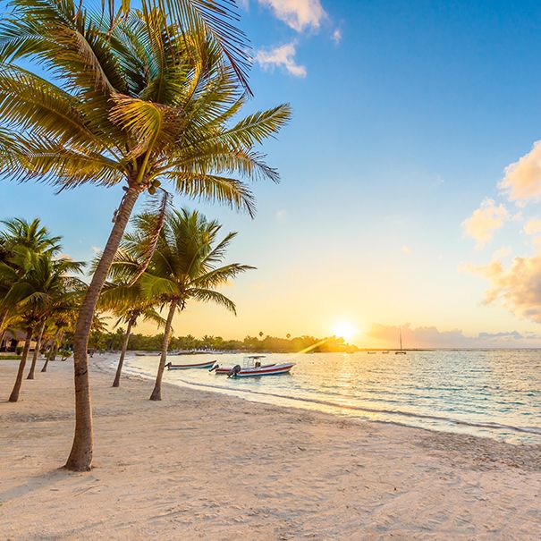 Long-haul deals image