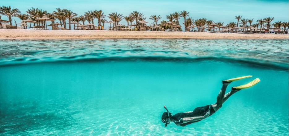 Red Sea diving, Sharm el-Sheikh, Egypt — clear waters with beach and palms, October holidays.