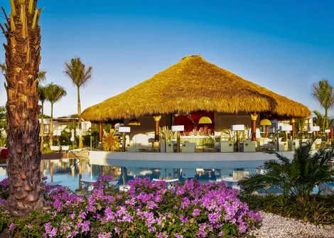 Club Med - Punta Cana, Dominican Republic, Punta Cana, Punta Cana | Thomas  Cook